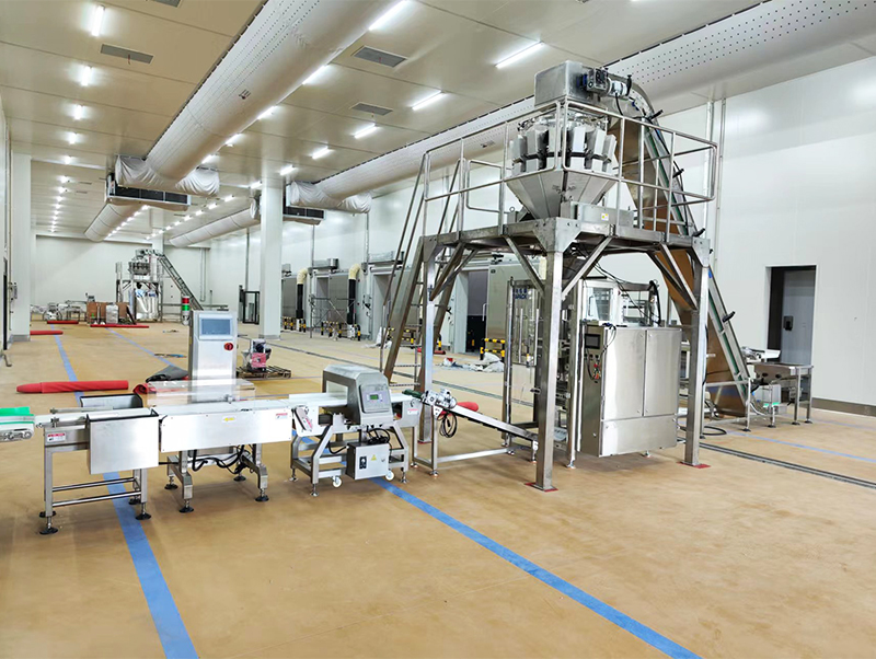 автоматична пакувальна машина forzen food