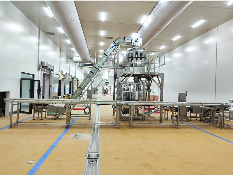 автоматична пакувальна машина forzen food