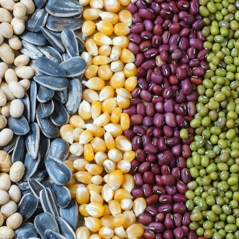 Автоматична машина для пакування насіння